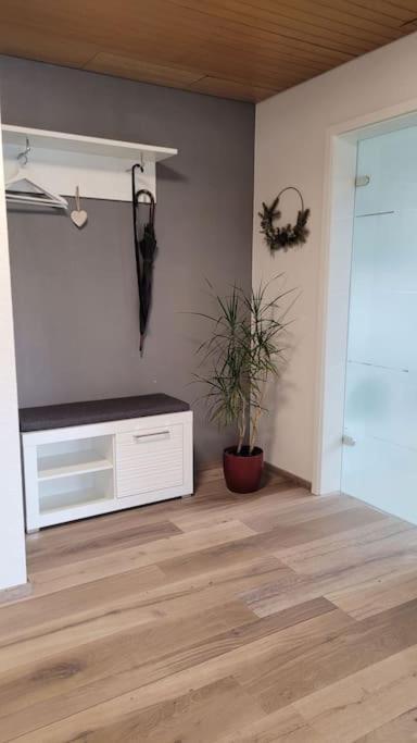 Apartment Schwarzwaldmaedel Friedenweiler Zewnętrze zdjęcie