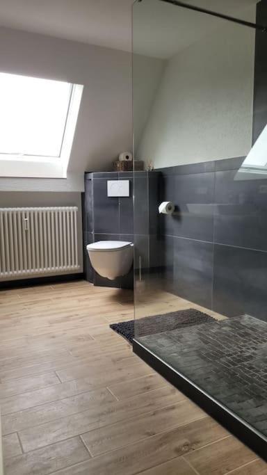 Apartment Schwarzwaldmaedel Friedenweiler Zewnętrze zdjęcie