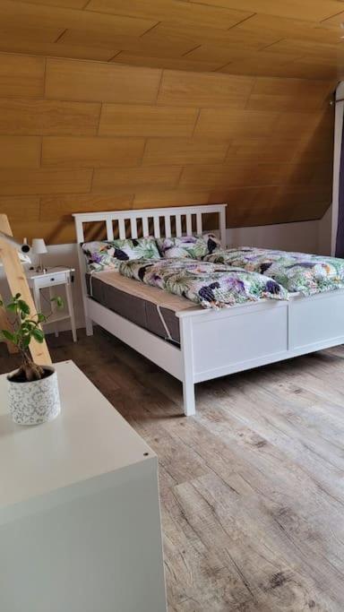 Apartment Schwarzwaldmaedel Friedenweiler Zewnętrze zdjęcie